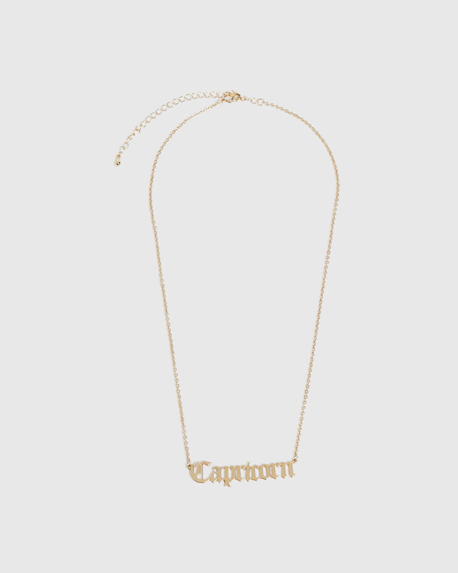 14k Capricorn Star Sign Necklace - Image 2